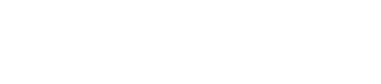 Wise Ones